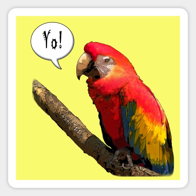 Parrot Bird Magnet by asaiphoto